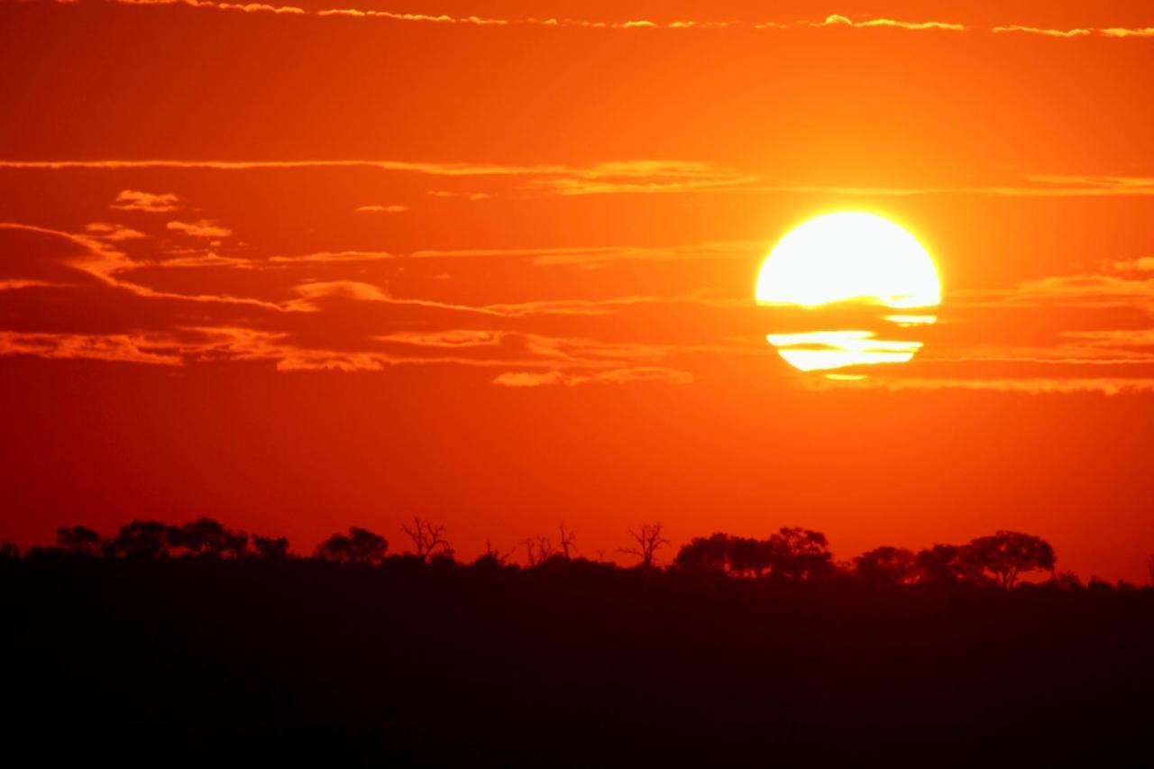 Jackals Dream - Self Catering Villa Bordering Kruger National Park 말로스 파크 외부 사진
