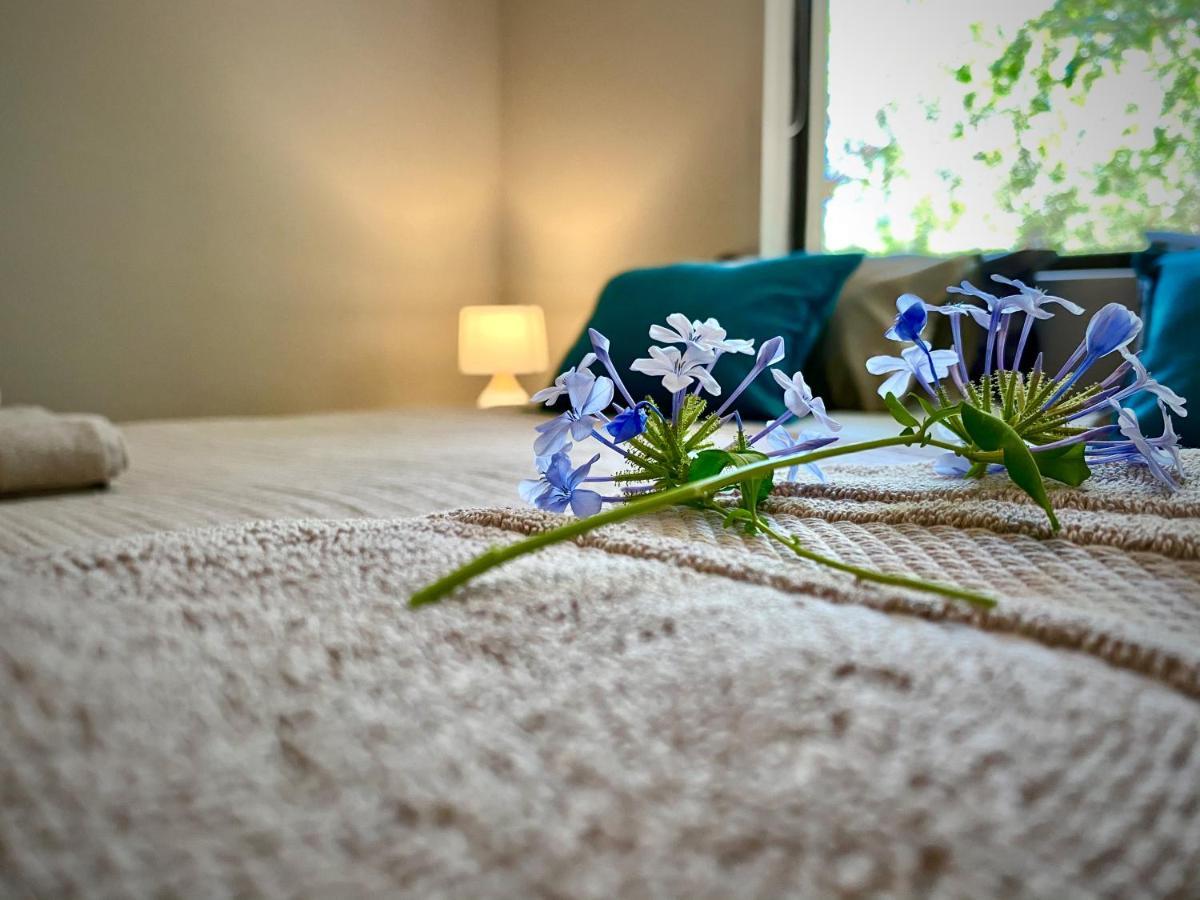 Jackals Dream - Self Catering Villa Bordering Kruger National Park 말로스 파크 외부 사진